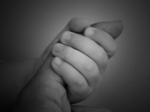 Proyecto érase la Vida
